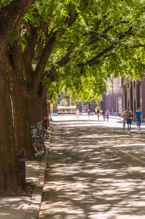 Szeged, Hungary - June 18, 2013: Cozy downtown street of Szeged, covered with big crown of a trees, people walking, sun is shiningのeditorial素材