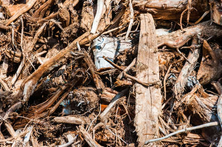 Heap, bunch of dried trees roots close-up lying on the groundの写真素材