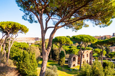 Scenic evergreen park with growing pines, velvet grass lawns and remains, ruins of the Aquaduct, aqueduct of Claudius at the Palatine hill with Colosseum on the background in Romeのeditorial素材