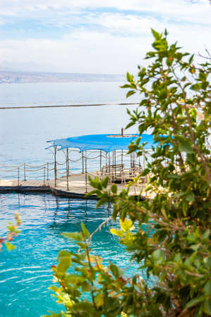 Southern plants close-up with on water pavilions and wooden walkways in Eilat, Israelの写真素材