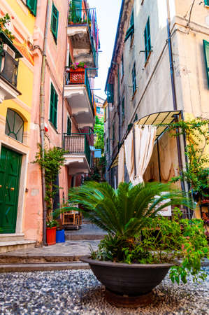 Palm growing in a pot on a street full of decorations and other outdoor elements, small restaurants and shops telling their stories about the city life in Monterosso Al Mare, Cinque Terre, Italyの写真素材