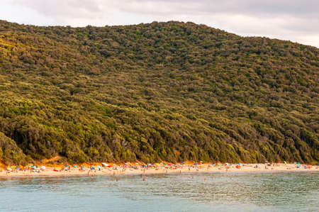 Scenic landscape view on Cala Violina sand beach and Tyrrhenian Sea bay surrounded by green forest in province of Grosseto in Tuscany, Italyの写真素材