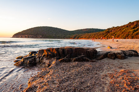 Cala Violina, Grosetto, Italy - September 03, 2019: People resting on scenic beach Cala Violina at the sunset. Tyrrhenian Sea bay at the sunset.のeditorial素材