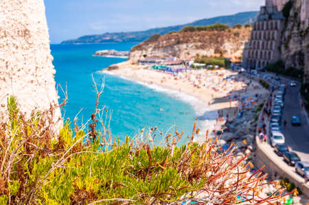 Southern plant growing on the rock on foreground and Rotonda beach full of people on the background. Sea promenade scenery in Tropea with high cliffs with built on top city buildings and apartments.の写真素材