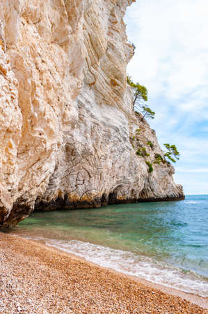 Beautiful pebble beach surrounded by high massive white limestone rocky cliffs eroded by Adriatic sea waves and wind. Green Aleppo pines growing on the rocks. Emerald water washing a coast of Garganoの写真素材