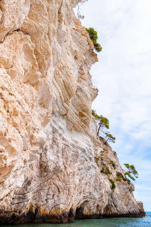 Beautiful pebble beach surrounded by high massive white limestone rocky cliffs eroded by Adriatic sea waves and wind. Green Aleppo pines growing on the rocks. Emerald water washing a coast of Garganoの写真素材