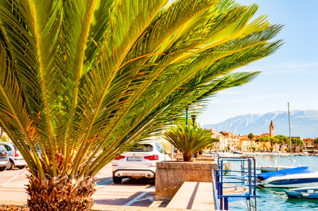 Toscolano Maderno, Lombardy, Italy - September 12, 2019: View on medieval Toscolano Maderno cityscape through palm leaves growing on promenade and pier with parked boatsのeditorial素材