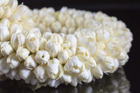 Beautiful Jasmine  garland of flowersの写真素材