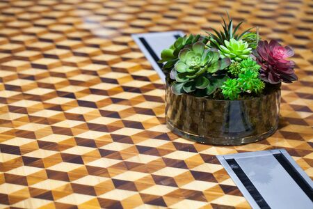 Small beautiful tree in the glass decorate on the tableの写真素材