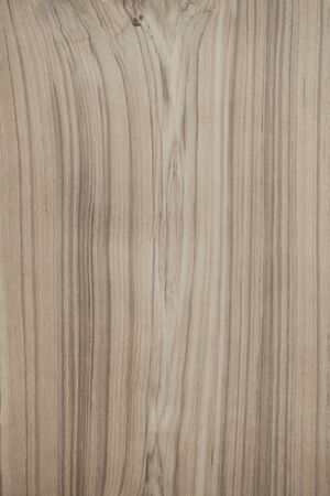 Wood texture background, wood planksの写真素材