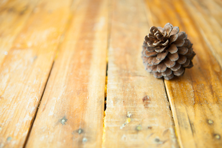 Pine cones on wooden backgroundの写真素材