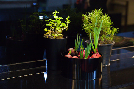 Fresh summer vegetables in black bowl on tableの写真素材