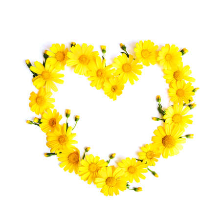 Yellow flowers. Floral heart composition isolated on white background with copy space for your text. Top view. Flat lay.の写真素材