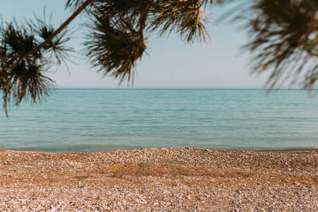 Beautiful view on the azure sea through the spruce branches. Summer in the mediterraneanの写真素材