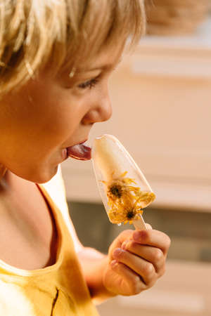 Baby boy in the yellow shirt eating hand made flower ice cream stick. Ice cream with dry flowers.の写真素材