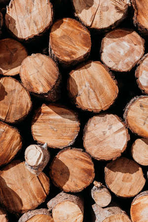 Wood logs storage in the open air. Many sections of logs Firewood stacked in the open air. Wood log pile. Particular of lumber ready to be burned. Wood background.の写真素材