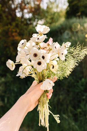 Bouquet of wild flowers in hand. In spring time ar sunset.の写真素材