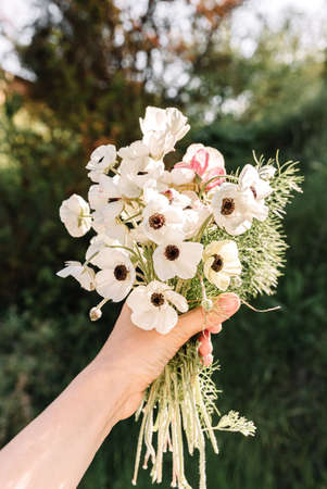 Bouquet of wild flowers in hand. In spring time ar sunset.の写真素材