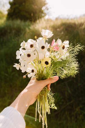 Bouquet of wild flowers in hand. In spring time ar sunset.の写真素材