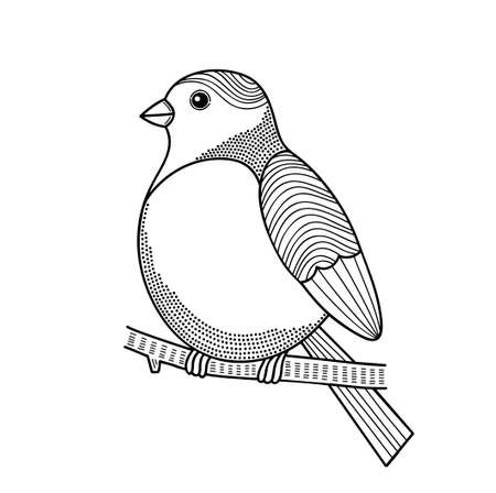 Bird on the branch.のイラスト素材