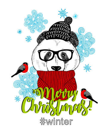 Sweet panda in scarf and hat. Vector card for Christmas.のイラスト素材