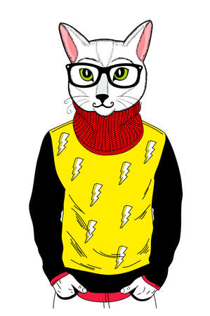 Young cat with human body. Vector illustration of male animal isolated on white background.のイラスト素材