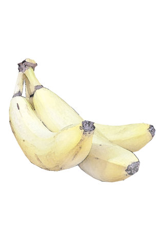 Bananas isolated on white background. Clipping path included for easy extraction.の写真素材