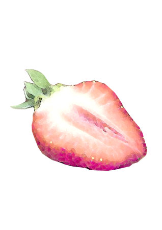 Strawberry isolated on white background. Hand drawn watercolor illustration.の写真素材