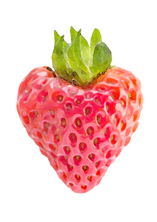 Strawberry isolated on white background. Hand drawn watercolor illustration.の写真素材
