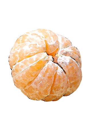 Ripe tangerine isolated on white background. Vector illustration.の写真素材