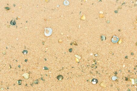 Sand on beach texture