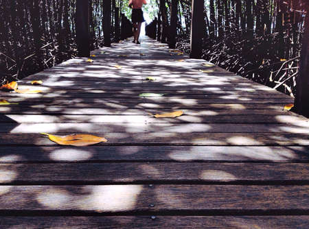The pathの素材