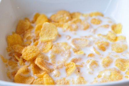 Close up Cereals with fresh milks in bowl の写真素材