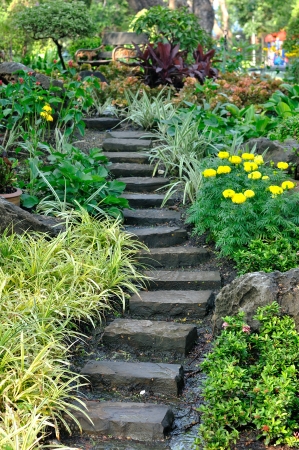 Stairways into flowers garden, public park の写真素材
