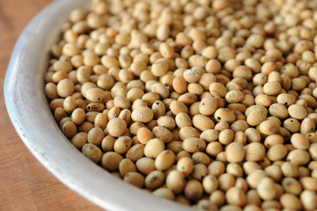 Close up rotten soybean seed in aluminium tray.の写真素材