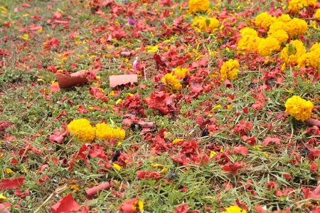 Piece of red paper and flowers on yard.の写真素材