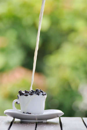 Coffee seed in white cup and fresh milk pouring in action.の写真素材