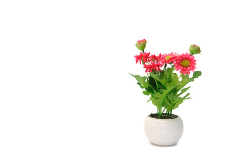Red flowers in white flower pot, artificiallyの写真素材
