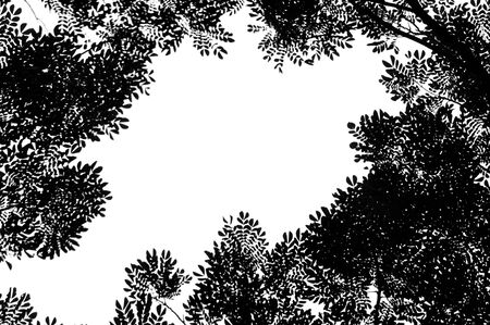Leaves and trees for web background in monochrome.の写真素材