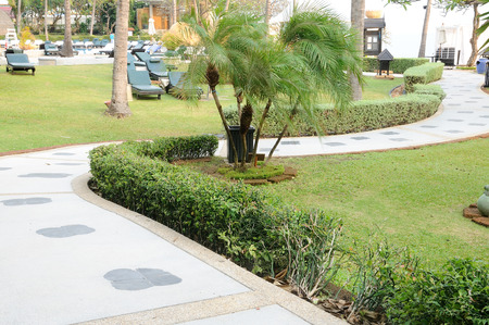 Walk-way in garden and beach bedの写真素材