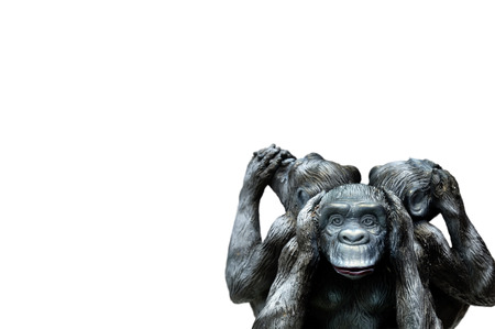 Three wise monkeys or Three Mystic Apes sacred ancient icon isolated on white background with clipping path.の写真素材