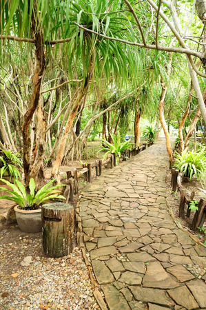Mangrove nature trail in Chantaburi province, Thailandの写真素材