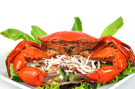 Salad boiled sea crab with green salad.の写真素材