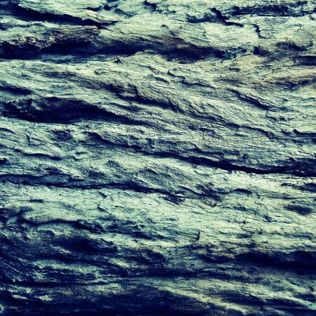 Tree bark pattern and texture with light effect, vintage style.の写真素材