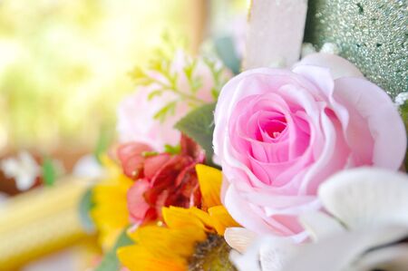 Pink roses with light flare の写真素材