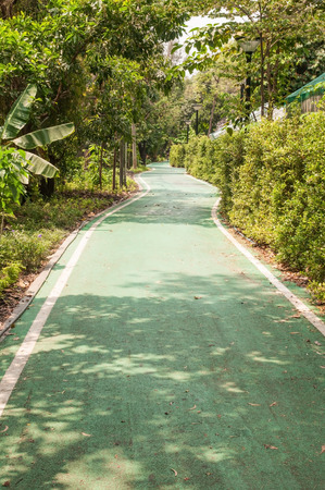 Green bicycle lane in public park, sport healthy and exercise.の写真素材