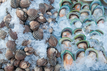 Mussel and Cockle shellfish with many ice in public market.