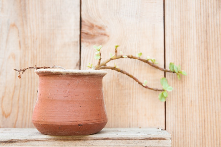 Small clay plant pot on wooden shelf with wood background.の写真素材