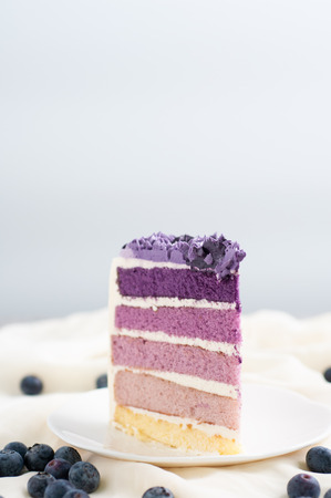 A piece of blue berry cheese cake on white plate on soft cloth decoration by blue berry seeds.の写真素材