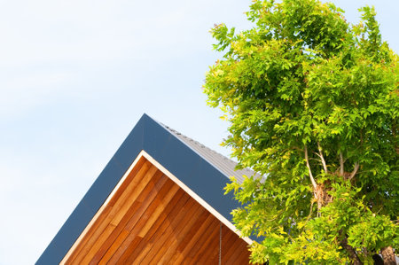 Classic wooden roof with green big tree and sky.の写真素材